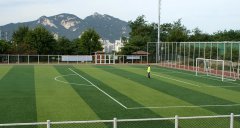 江西省丰城市足球场